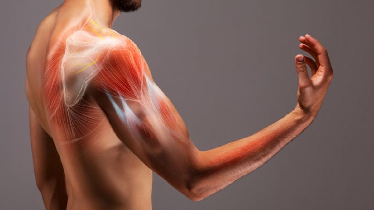 Biceps Tendon Rupture Treatment in Pune